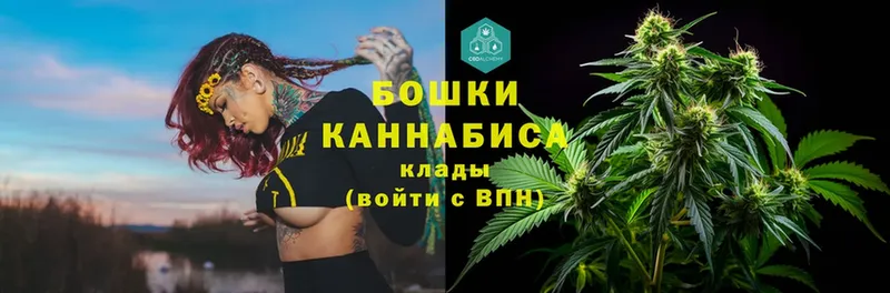 blacksprut вход  Катав-Ивановск  Конопля Amnesia  дарнет шоп 